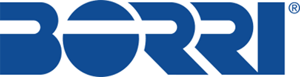 logo borri
